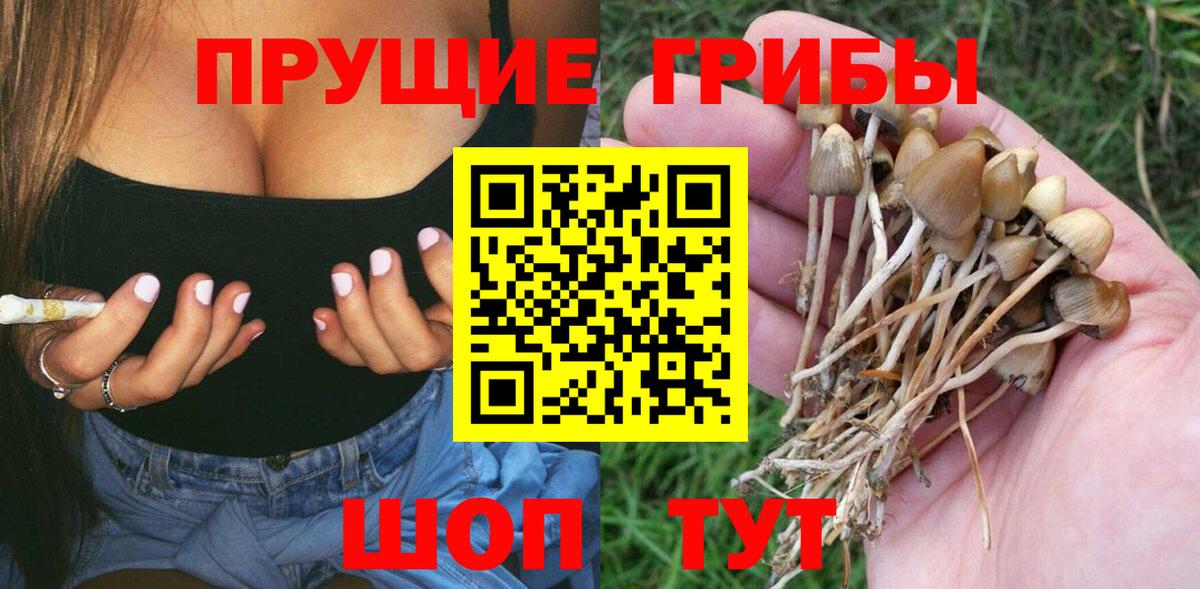 Галлюциногенные грибы мухоморы Черногорск