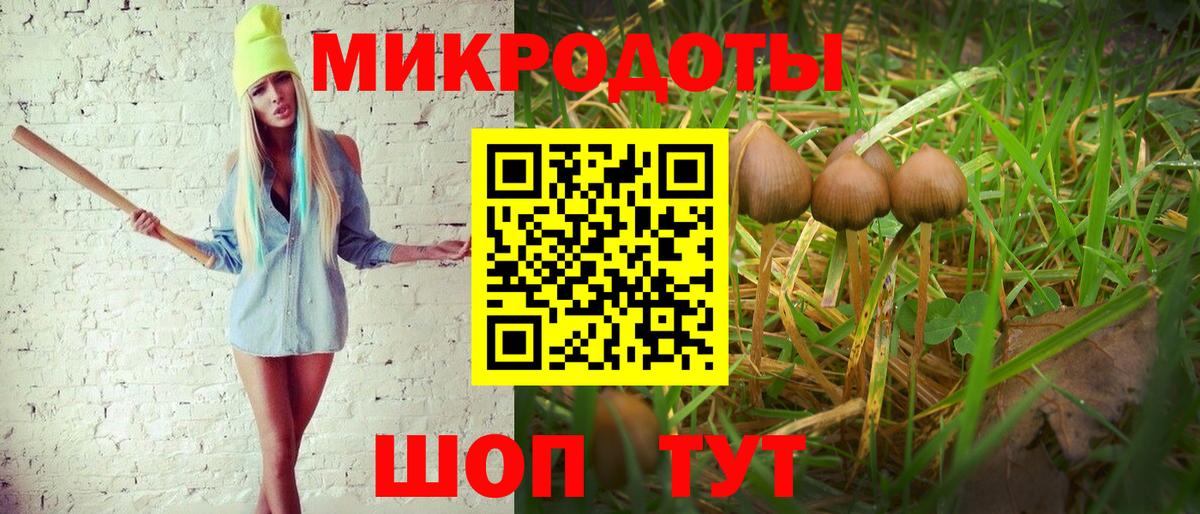 Галлюциногенные грибы MAGIC MUSHROOMS  Вход с VPN  Черногорск 